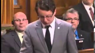 Andrew Cash questions the Conservatives' review of the teaching of Canadian history - May 6, 2013