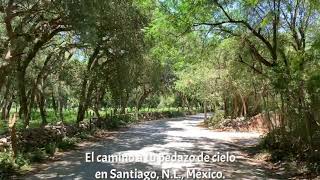 Camino de Santiago, Nuevo León