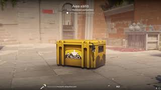 DAY 308 OPENING CS2 CASES UNTIL I GET GOLD!