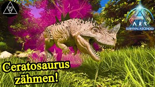 Ceratosaurus zähmen! ► ASA E62 - ARK: Survival Ascended