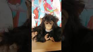 furreal cuddle Chimp Monkey, I am selling on ebay.