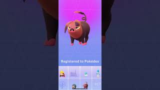 #pokemongo #pokemon #halloweenedition #evolve #lechonk #oinkologne #pokédex #pokedex