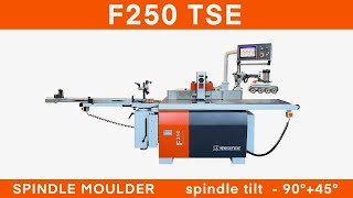 F 250 Spindle moulder