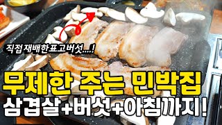 생삼겹살+묵은지+바로 갓 딴 표고버섯 삼합구이 무제한 주는 밥 잘주는 민박집ㅣ바로 따서 먹는 버섯맛이란?! ㅣ버섯요리 풀코스로 주는 1박2식 펜션 추천