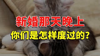 新婚那天晚上你们是怎样度过的？ #今日话题  #每日段子