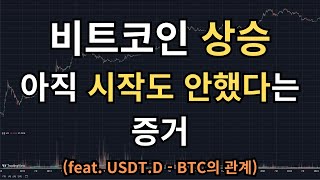 비트코인 상승 아직 시작도 안했다는 증거 (feat. USDT.D - BTC의 관계)