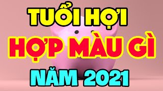 Tuổi Hợi Hợp Màu Gì Năm 2021 MANG LẠI MAY MẮN CÁT LÀNH I Tử Vi 24H