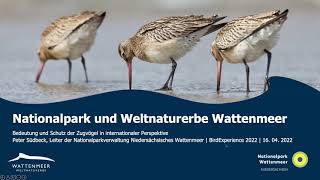 Nationalpark und Weltnaturerbe Wattenmeer – Bedeutung und Schutz der Zugvögel