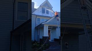 Pretreating with a foam cannon #satisfyingpressurewashing #foamcannon