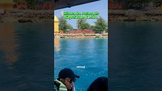 OTW Pulau Air | Kepulauan Seribu - Jakarta