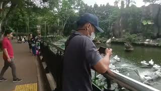 jalan jalan bareng rekan  ke taman margasatwa ragunan jakarta selatan