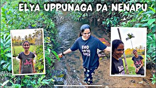 ಮಾಮಿ da must puche undu । elya uppunaga savi nenapu | Dolly vlogger