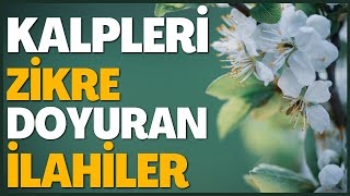 KALPLERİ ZİKRE DOYURAN İLAHİLER | DÜN GECE KARDEŞLER BANA DÜŞÜMDE BİR YEŞİL SANCAKLI SULTAN GÖRÜNDÜ