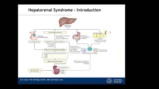 Sindrome epato-renale