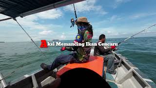 Trip Memancing Ikan Cencaru : DJI ACTION 2 & Daiwa Seaborg 200JL-DH : Electric Reel Jigging Sabiki