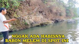 TARIKAN BABON MELEM SUPER BIKIN HATI BAHAGIA #kang_mustofa #mancing_melem