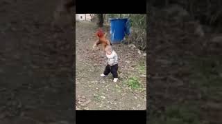 Rooster vs Kid 🤣🤣🤣#shorts #hilarious