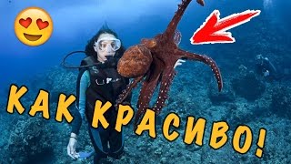 ЕГИПЕТ ПОД ВОДОЙ! НЕВЕРОЯТНО ВЛОГ / EGYPT UNDERWATER