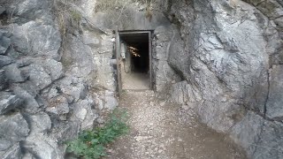 "BONE" Lower St Michaels Cave 2014