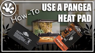 How To Apply a Pangea Reptile UTH Heat Pad