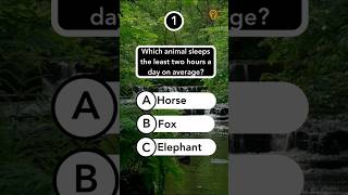 Animal Quiz Part 13 #short #animalsquiz #animalquizgame