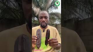 Top 2 spiritual benefits of Aidan fruit (Prɛkesɛ)