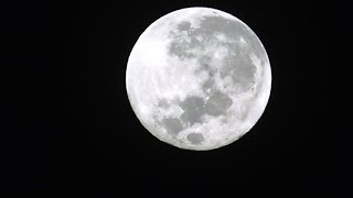 LIVE FULL MOON STREAM - 12/22