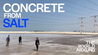 Concrete Is Highly Polluting: What if We Use Salt? waiwai presents WETLAND at The World Around