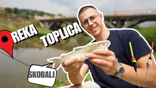 Pecanje Na PLOVAK Reka Toplica (SKOBALJ)  |  Serijal UZIVO SA VODE  #016