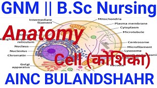 #Cell (कोशिका)|| कोशिका क्या होती है || Define cell ||@aincnursingclasses