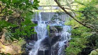 Witch's Cavern Burr's Hideout at Dismals Canyon AL / Song - Lotus Pond