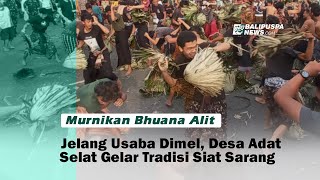 Murnikan Bhuana Alit Jelang Usaba Dimel, Desa Adat Selat Gelar Tradisi Siat Sarang