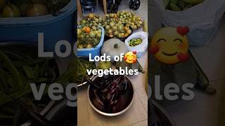 #Lods#of#vegetables#