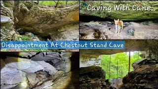 Disappointment At Chestnut Stand Cave - Caving With Cane - Kentucky - 9/17/24