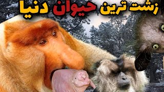 زشت ترین حیوان دنیا که وحشت میکنی ببینیش😱 |۳تا از زشتترین حیوانات جهان که تا حالا ندیدی