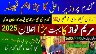 Wheat Support Price 2025 گندم کی نئی سرکاری قیمت فائنل فیصلہ 2025