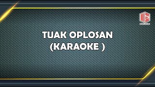 IRENNE SILALAHI - TUAK OPLOSAN KARAOKE