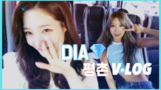 [DIA EUNICE] (평촌 Vlog) 다이아, 평촌 걷기 축제에 다녀왔어요!