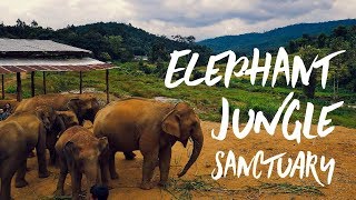 The Elephant Jungle Sanctuary in Chiang Mai is AMAZING