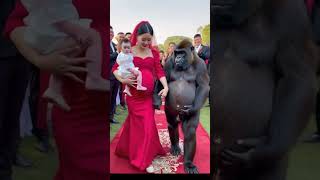 #funny #duet #thelatestfromaroundtheworld #seetheusaon50aday #baby #cute #monkey #wouldyoulookatthat