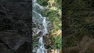 Sikkim waterfall #youtubeshorts #sikkim