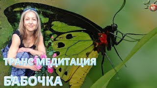 Транс Медитация🦋Бабочка | Психолог Надежда Герасимова