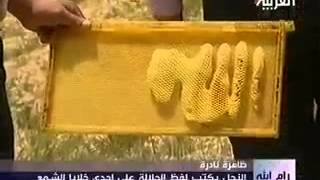 سبحان الله العظيم