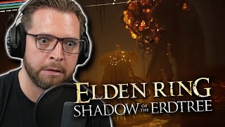 Winter Lanterns in Elden Ring | Elden Ring DLC HIGHLIGHTS (Part 4)