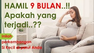 Apa Yang Terjadi Saat Hamil 9 Bulan : Inilah Perkembangan Si Kecil