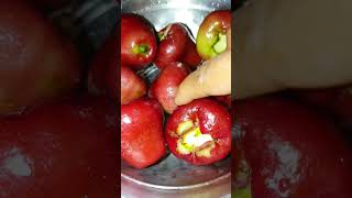 #শৈশবের_হারিয়ে_যাওয়া_স্মৃতি #ytshorts #viral #jamrul #subscribe #fruits