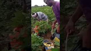 #farmerlife #farmer emotional words #viralvideo #trendingshorts