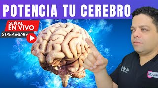 Alimentos Que Mejoran Tú Memoria y Protegen el Cerebro