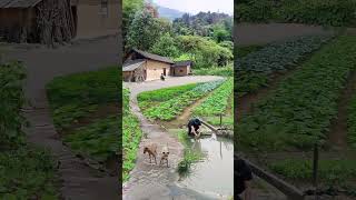 When you are in a bad mood come and turn my rural works I hope to bring you a good mood to record