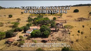 Um verdadeiro tesouro rural, Fazenda 47 alqueires  em  Itauçu-GO #agro #fazendaavendaemgoias